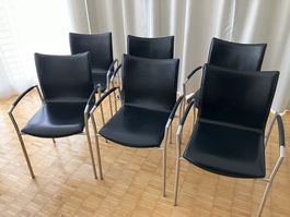 6 Girsberger Stühle Balzaro