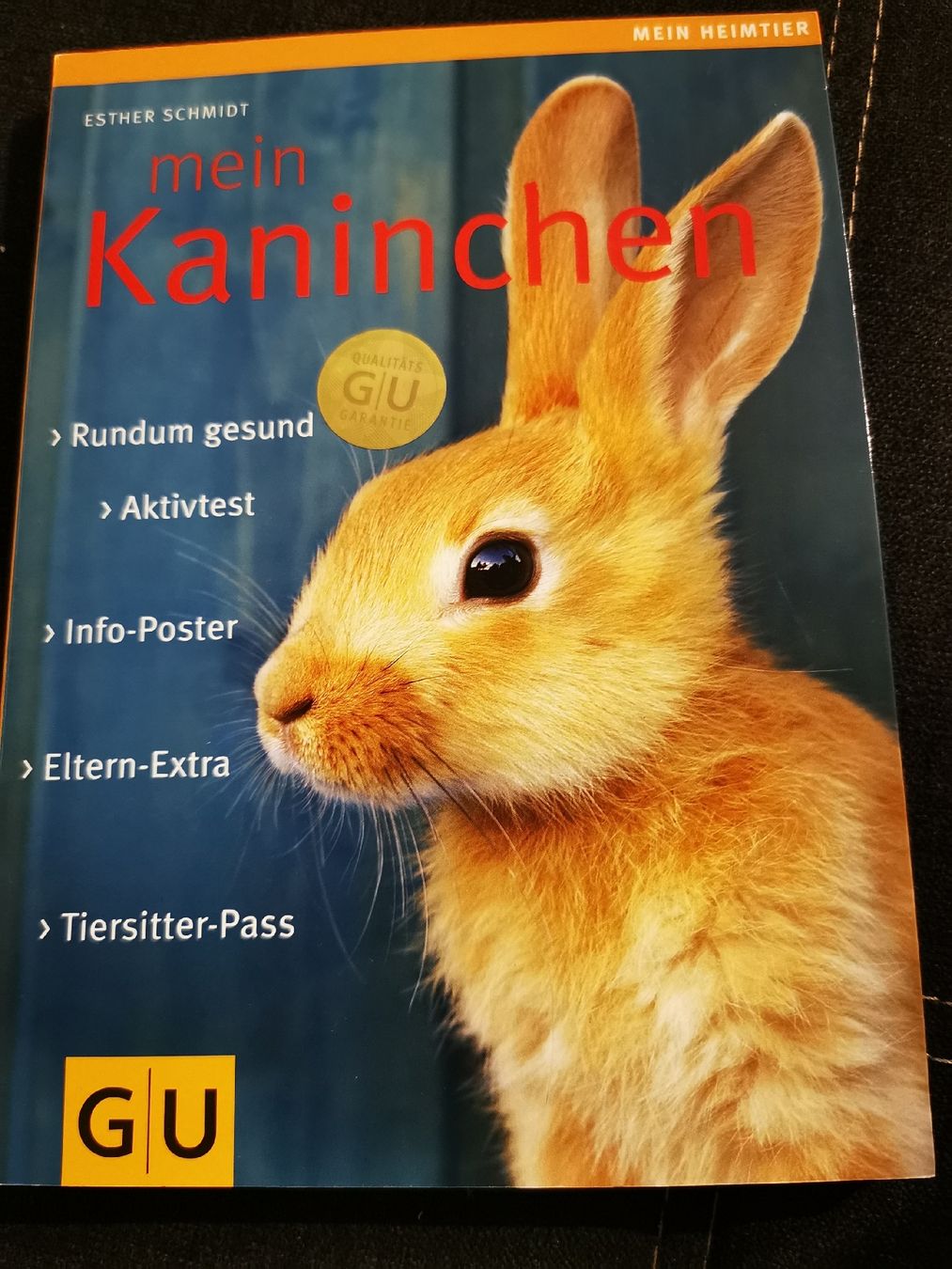 Libri: Buch – Usato da Aarau venduto da Swissschizo
