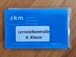 Lernzielkontrolle Mathe 6. Klasse zkm-Stick