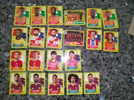 🔥 22 verschiedene Panini Sticker FIFA WM26