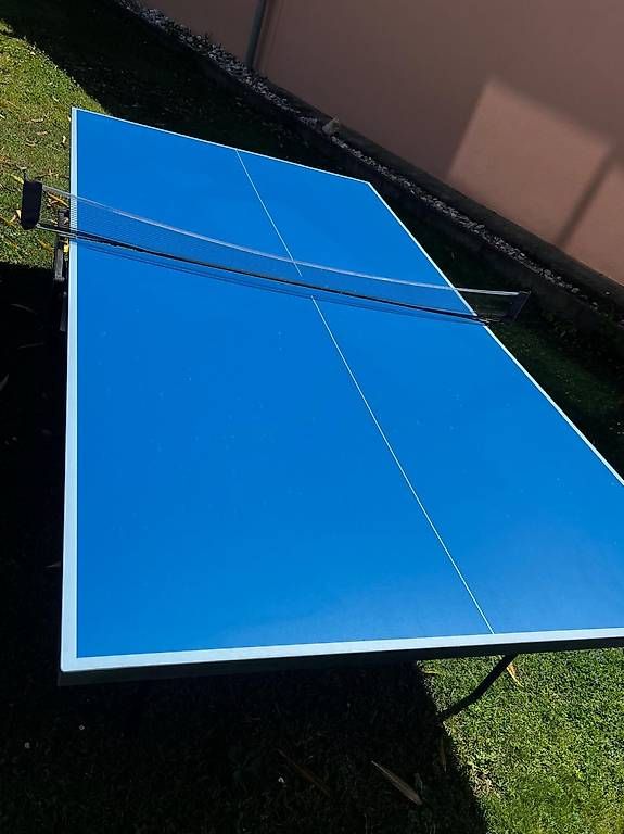 Tennis da tavolo:  tavolo Ping pong  – Usato da Bellinzona venduto da gio_8btd