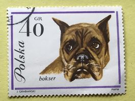 Briefmarken aus  Polen gestempelt  Siehe Original Fotos.
