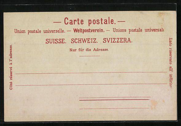 Cartes postales: Rigi-Kulm, Panorama mit Scheerhorn, Trug – D'occasion à Berlin par bartko-reher 1