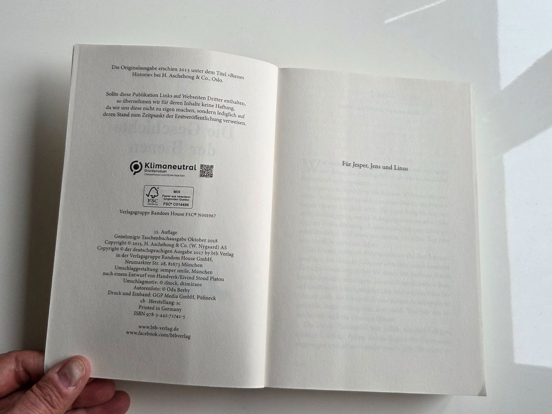 Libri: Die Geschichte der Bienen, Maja Lunde – Usato da Liestal venduto da ITOlio 2