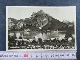 ARNISEE 1939 SCHFHERDE RESTAURANT ARNIBERG URI AK