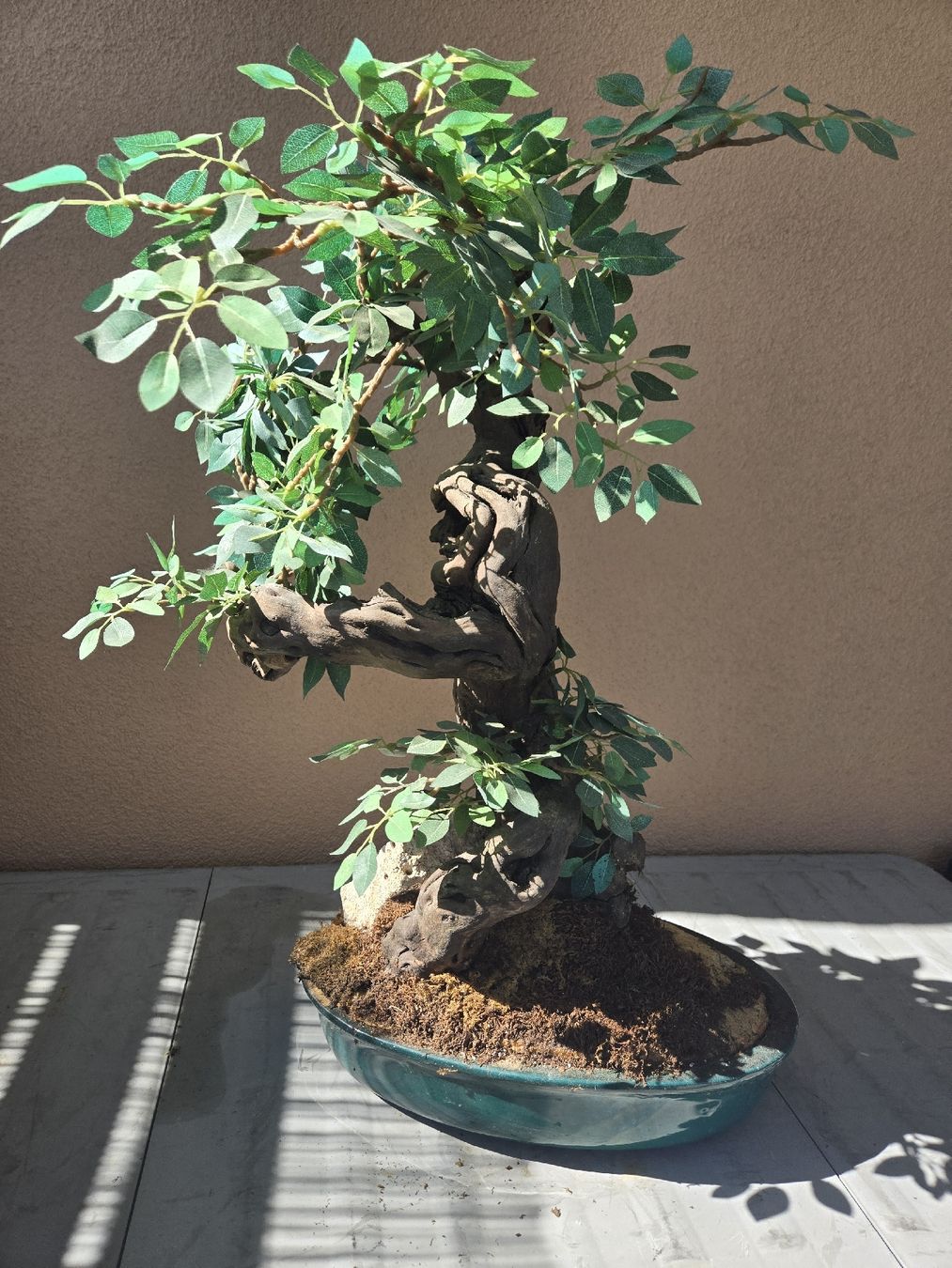 Tutte le decorazioni: Deko Kunst Bonsai Pflanze – Usato da Gutenburg venduto da shinobi0072 2