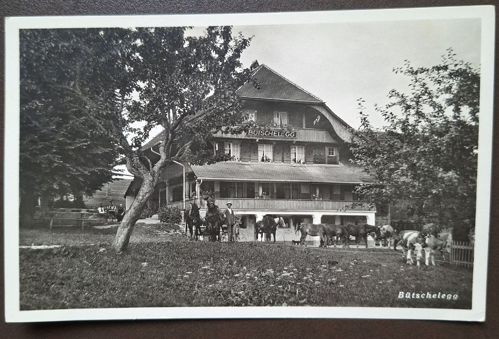 Cartes postales: Ansichtskarte Buetschelegg 1932 – D'occasion à Siebnen par Leissav