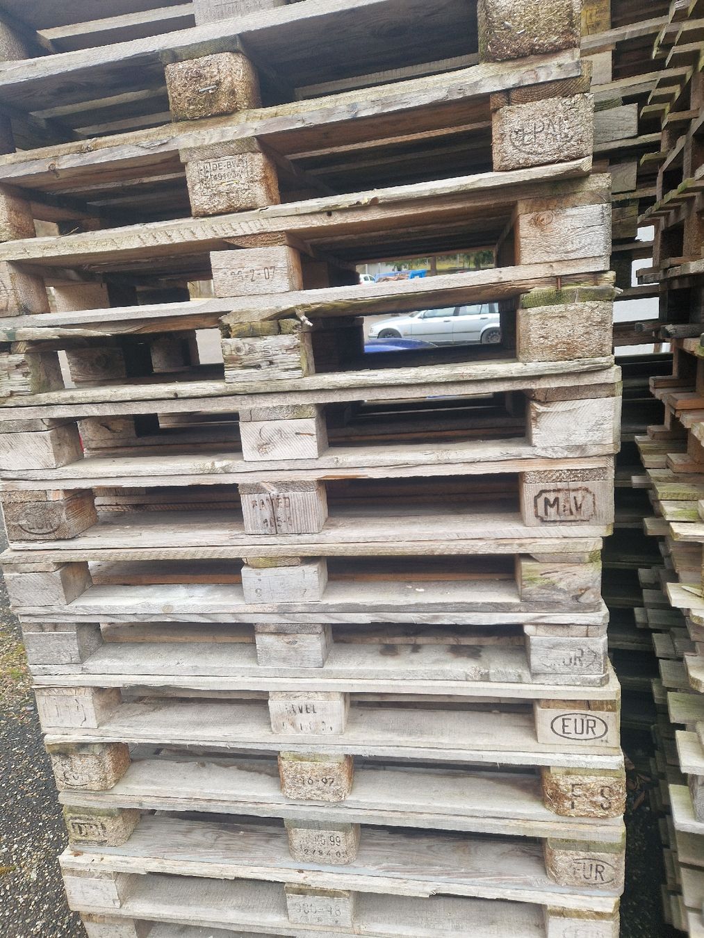Pallets: Gebrauchte Euro- und Einweg-Palette. – Usato da Muttenz venduto da Nnaa 1