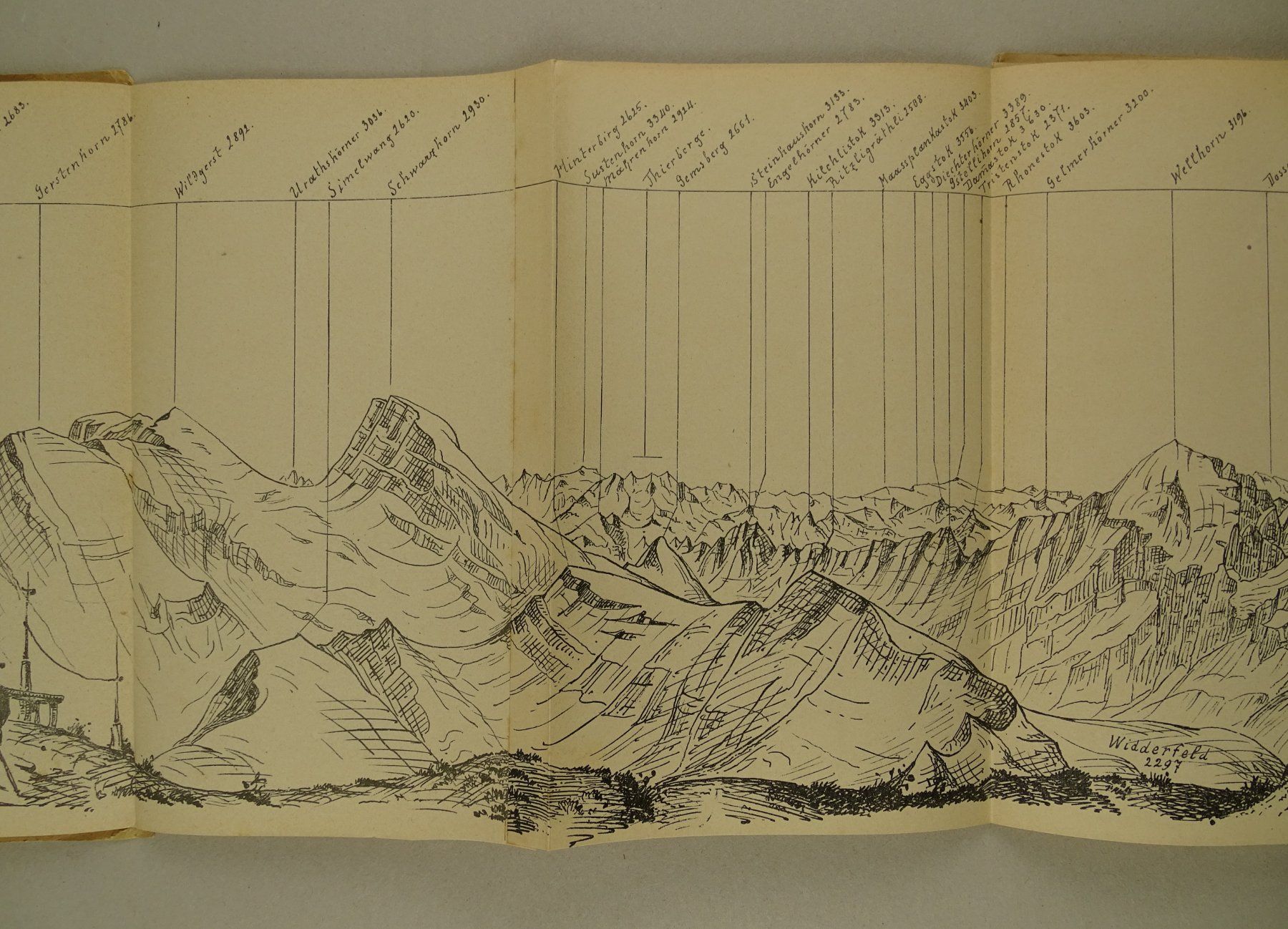 Incisioni: PANORAMA FAULHORN, 1890, BERN – Usato da Grüningen venduto da Kartensammler 5