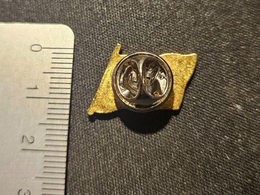 Broschen & Nadeln: PIN Norwegen – Gebraucht aus Bern von Respirit 3