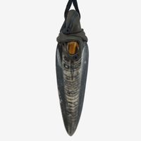 Orthoceras Anhänger (Fossil) mit Tigerauge
