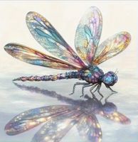 Diamond Painting: Libelle 40x40cm