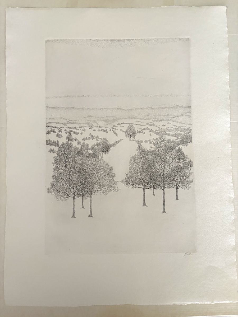 Grafica & Litografie: Radierung Franz Keller  – Usato da Zürich venduto da erianos