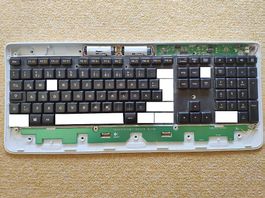 Logitech K800 Tasten Konvolut, Ersatz Taste mit Mechanik