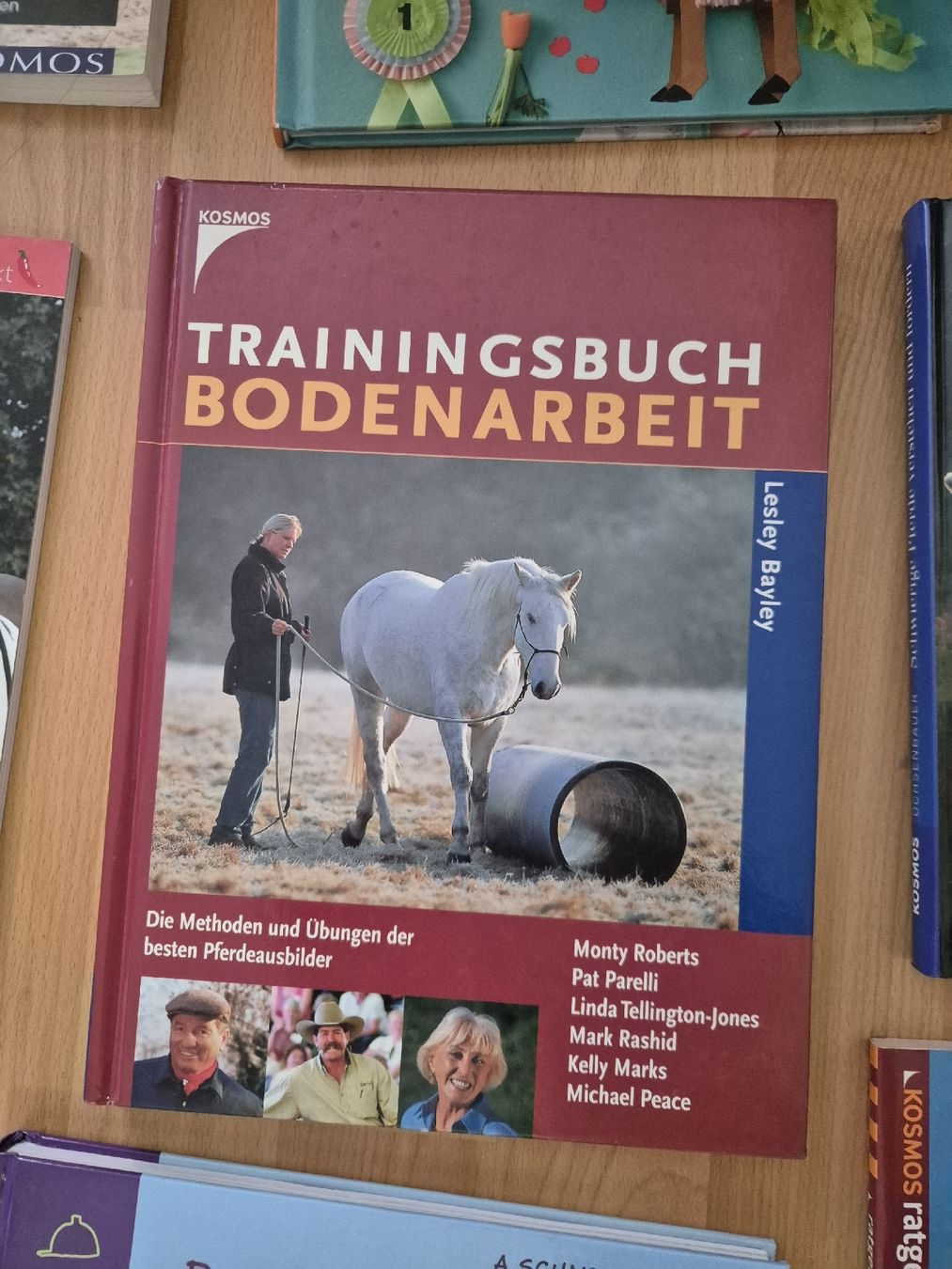 Briglie & Cavezze: Pferdefachbuch "Trainingsbuch Bodenarbeit" – Usato da Meggen venduto da Orrinka20