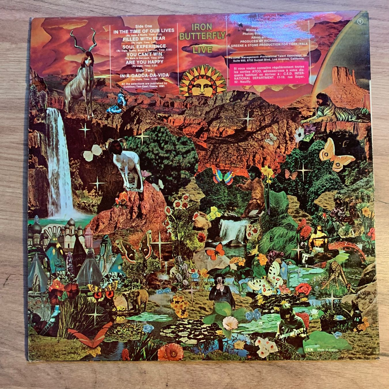 Schallplatten: IRON BUTTERFLY - LIVE...OG FR 1970...VG/VG++ – Gebraucht aus Gals von Diskopatshop 1