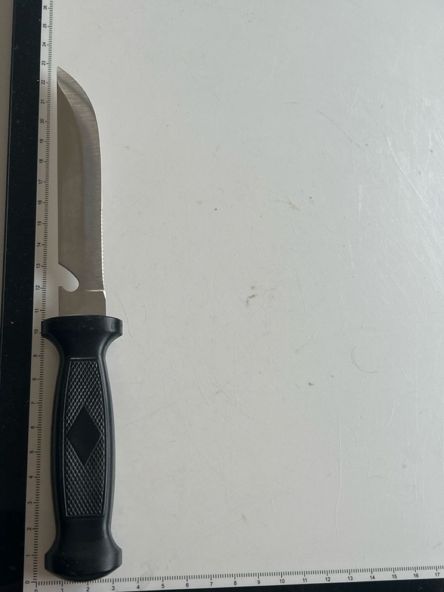 Accessori: Messer JFS ROSTEREI mit Scheide (S25) – Usato da Neuenhof venduto da bro_9zsg 3