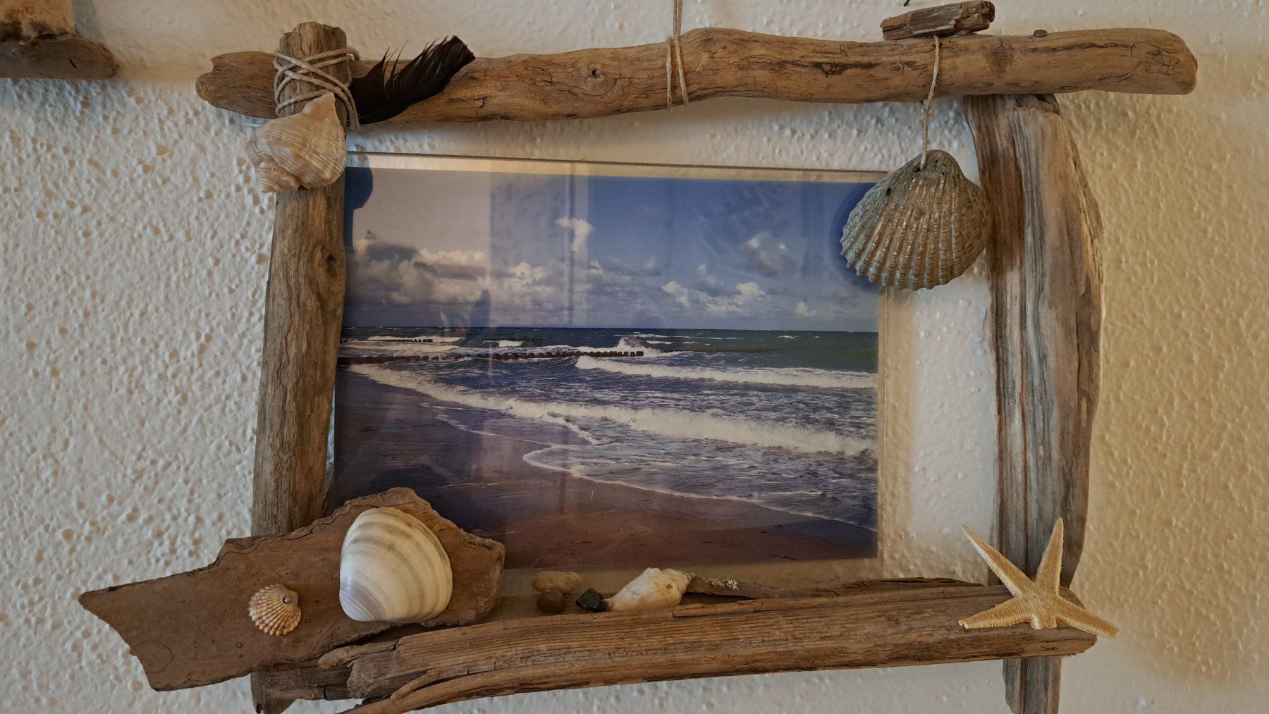 Foto & Immagini: Schwemmholzbilder – Usato da Kleindöttingen venduto da Strandgut88 4