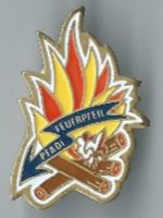 Pfadi Feuerpfeil, Pin