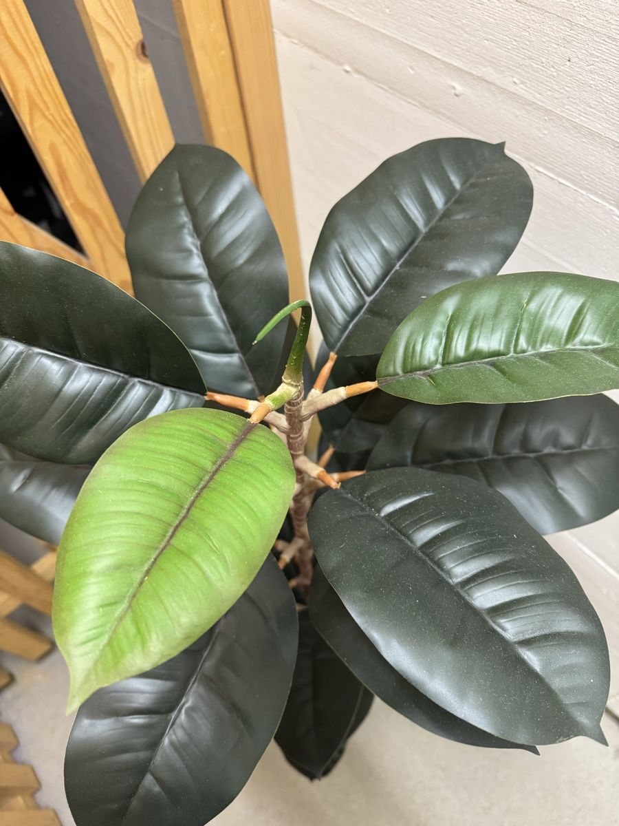 Piante & sementi: Plante artificielle 130cm – Usato da Moutier venduto da CaatSerra 1