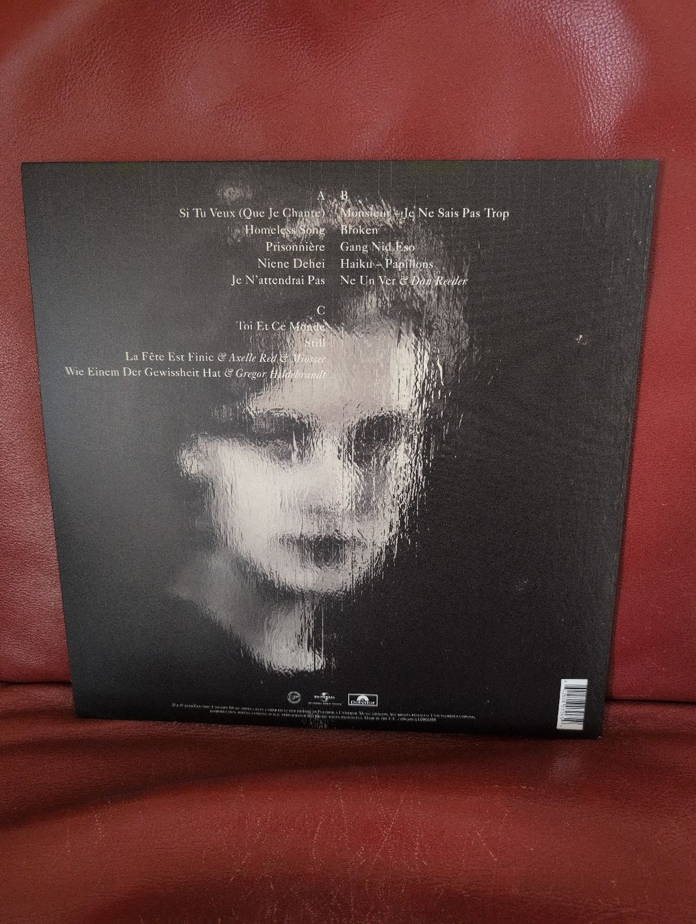 Vinyles: Stephan Eicher - Homeless Songs – Neuf (Voir description) à Bern par rabbit01 1