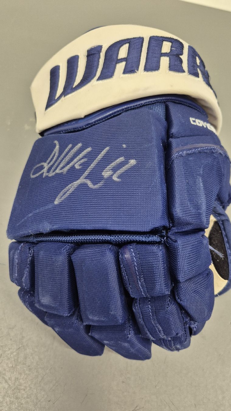 Guanti & manicotti: Eishockeyhandschuh Denis Malgin – Usato da Bünzen venduto da Wisel45