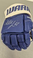 Eishockeyhandschuh Denis Malgin