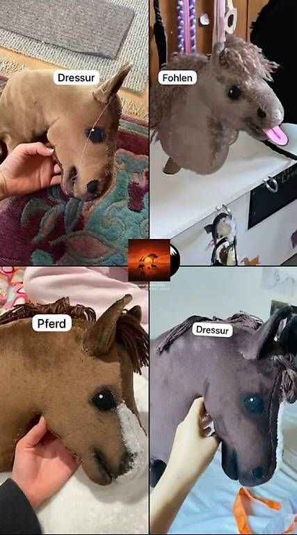 Giocattoli: Hobby Horse AUFTRÄGE – Usato da Susten venduto da Kht_formidable