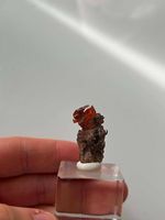 Wulfenit, Tiefe Orangefarbe, Durchscheinend - Red Cloud Mine