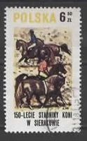 POLEN:  PFERDE DRESSUR   (2