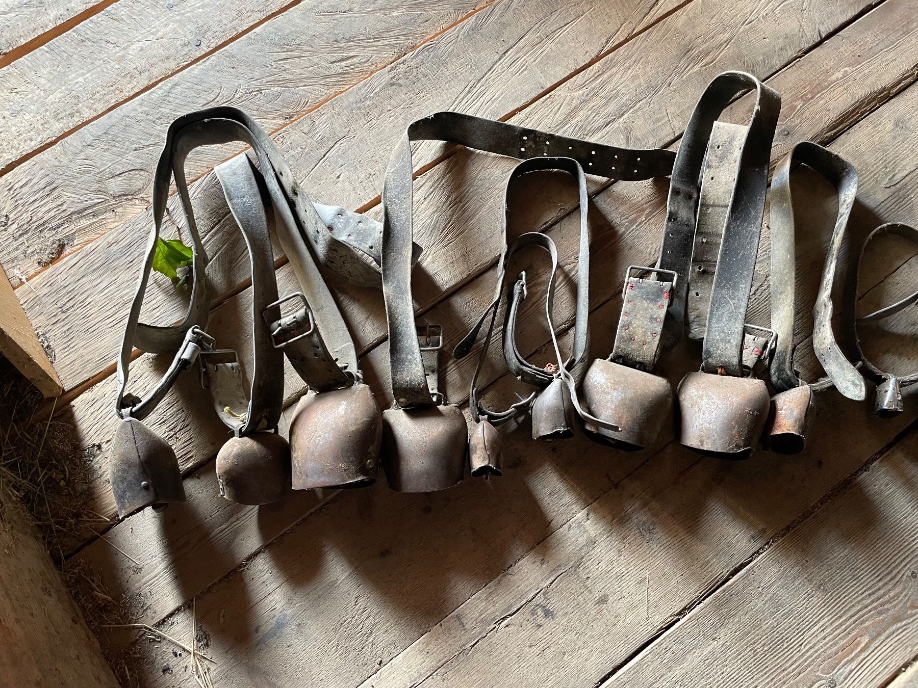 Cloches & sonnailles: Glocken Schellen grosser Posten! – D'occasion à Burgistein par hac_72zv 1
