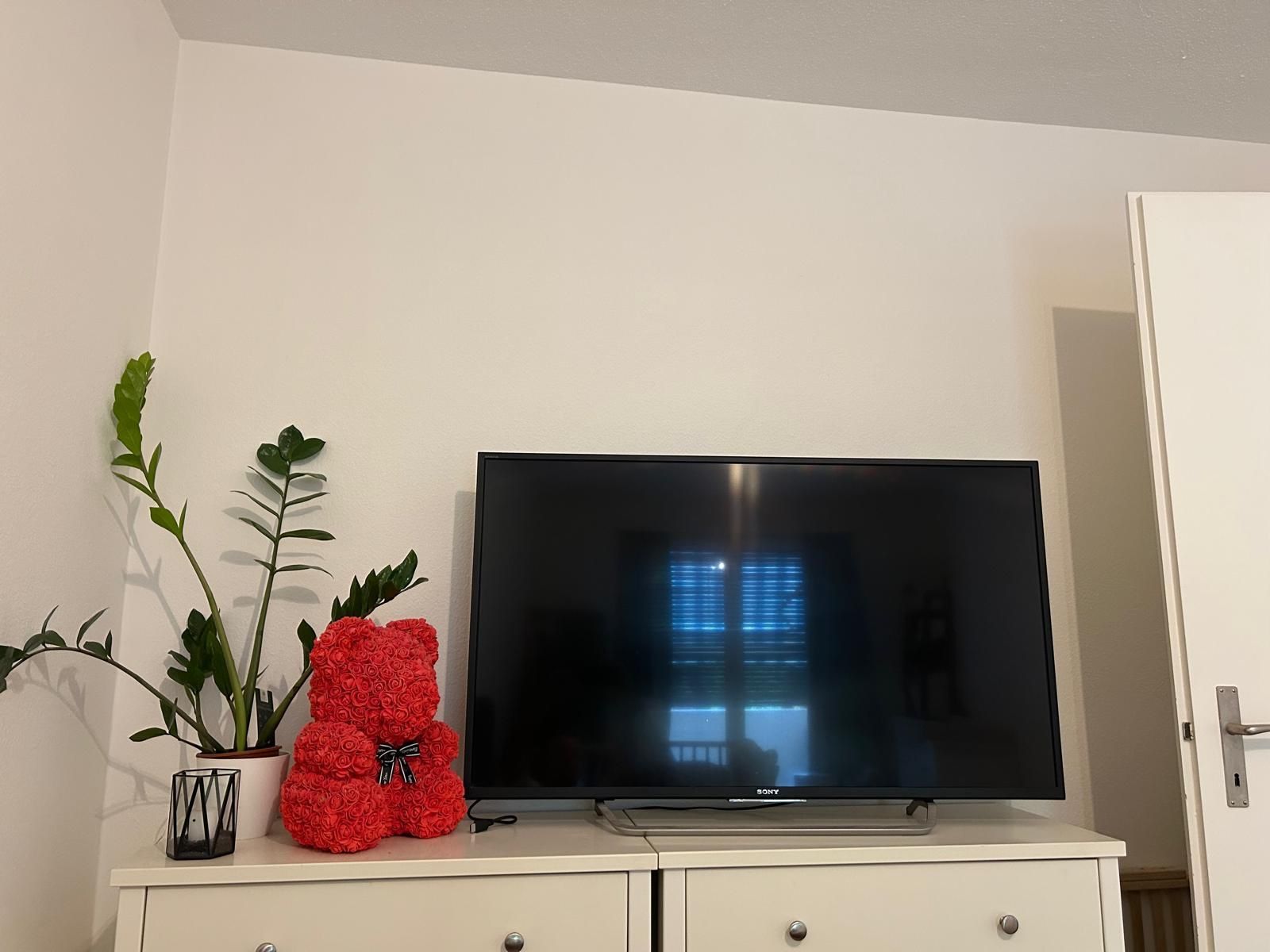 Sony Televisori: Sony Bravia KD49 – Usato da Hinwil venduto da kam_v2lf