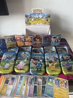 Ascesa Eroica Pokemon e Mini Tin