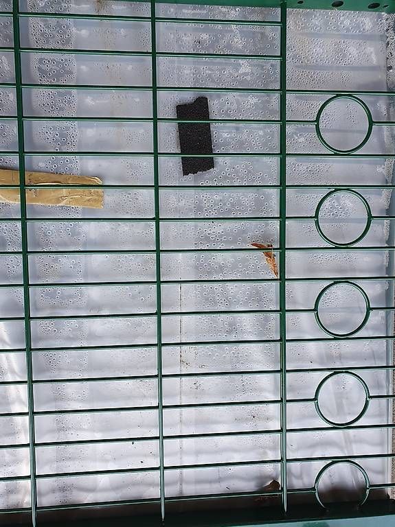 Paravents: Doppelstabmatte Höhe 80 cm – Neuf avec emballage d'origine à Ringgenberg BE par Ringgizaun 1
