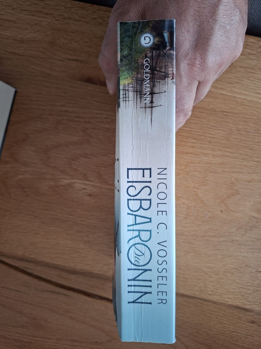 Livres: Die Eisbaronin – D'occasion à Appenzell par palme14 2