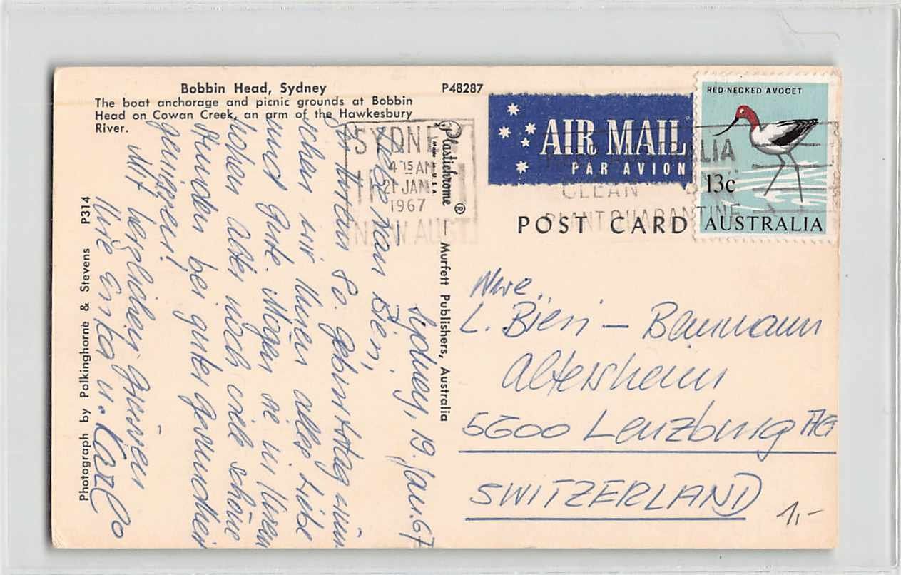 Cartoline postali: EXOTISCHE Ansichtskarte BOBBIN HEAD SYDNEY 1967 – Usato da Lufingen venduto da TopAnsichtskarten 1
