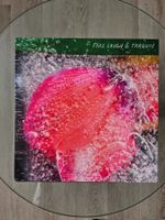 Fake Laugh & Tarquin - Vinyl LP - Top Zustand!