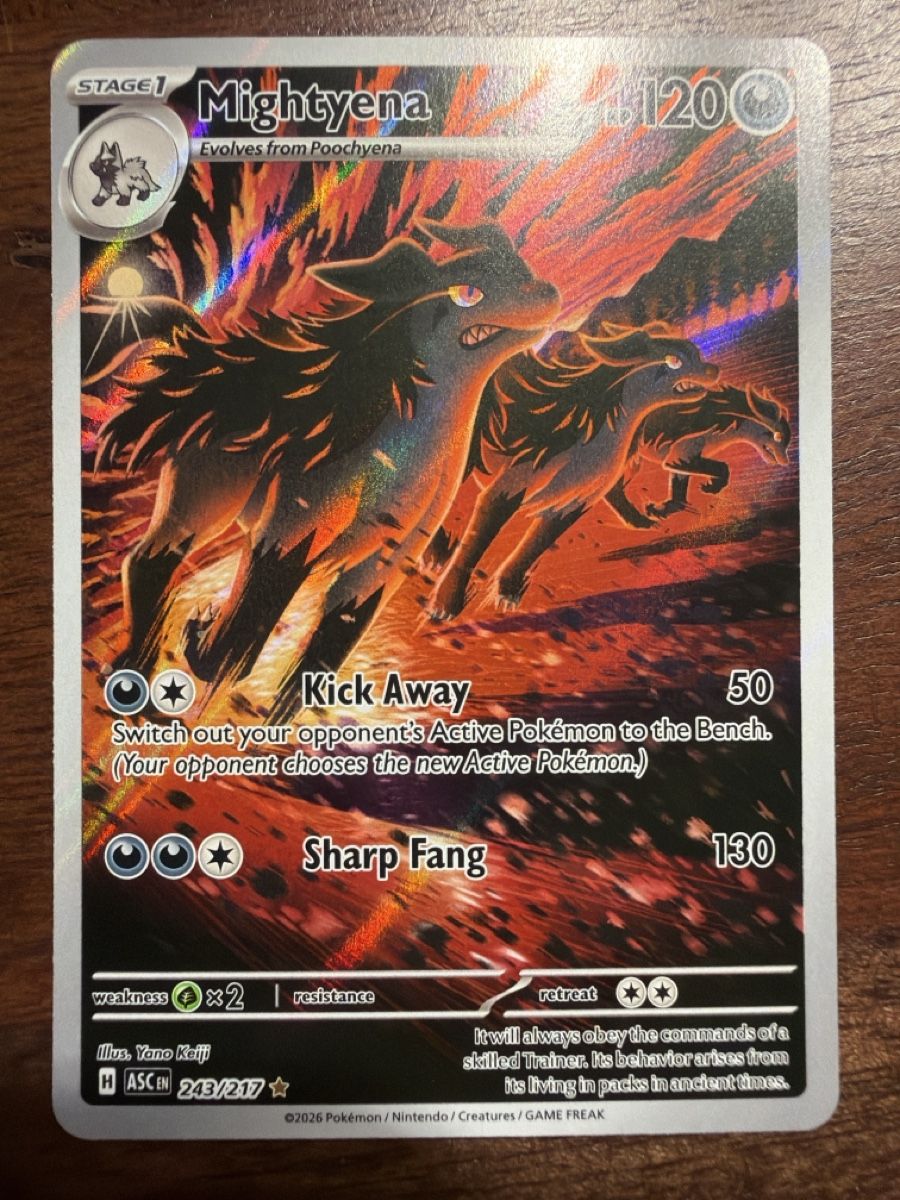 Pokémon Carte collezionabili: Mightyena (ASC 243) – Nuovo (secondo la descrizione) da Emmenbrücke venduto da Pack_Ripper