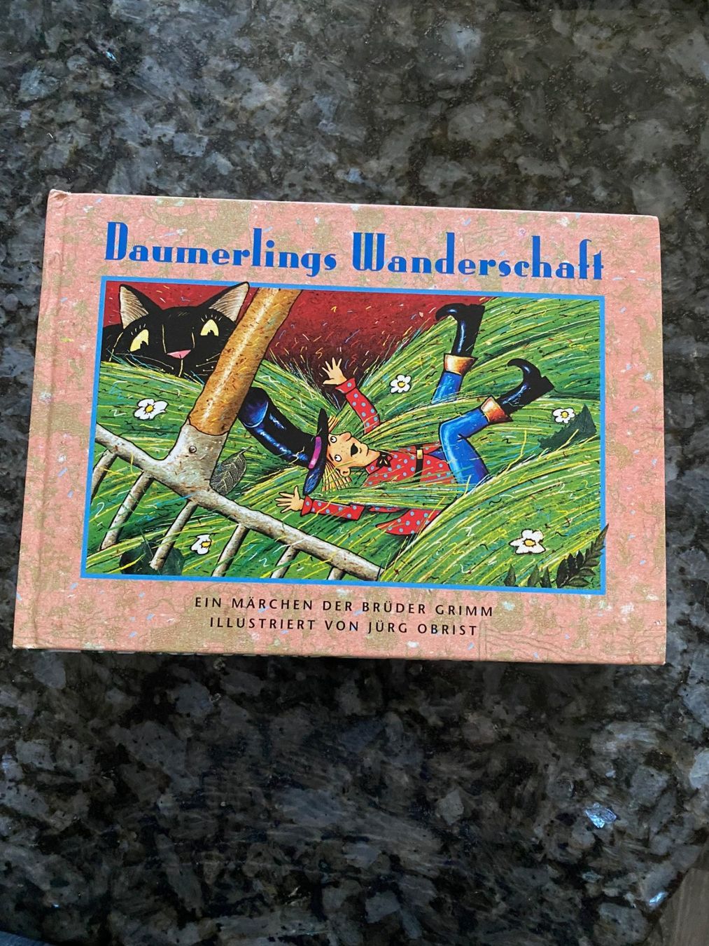 Libri: Brüder Grimm *Daumerlings Wanderschaft – Usato da Allenwinden venduto da Obalu