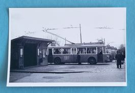 Wittikon (ZH) - Trolley Bus der VBZ - Bus Station - 1955