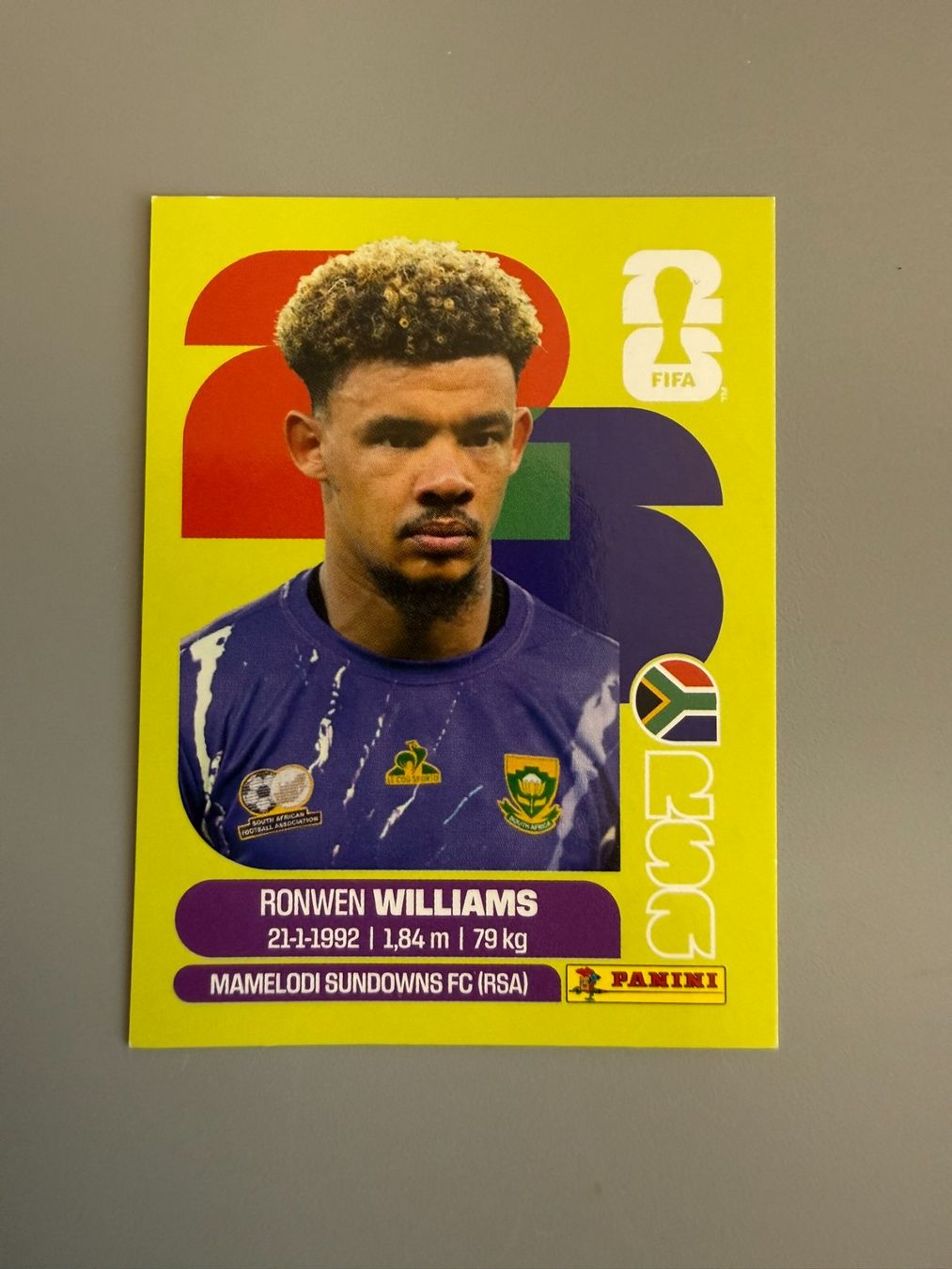 Panini Sammelbilder & Trading cards: Panini Ronwen Williams RSA2 – Gebraucht aus Liebefeld von Ronaldo-1996