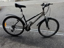 Damenfahrrad