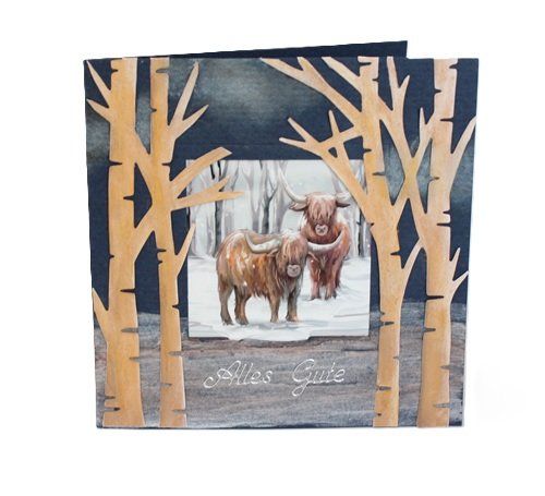 Cartoline: Karte Hochlandrinder "Alles Gute" – Nuovo (secondo la descrizione) da Schlatt TG venduto da glueckwunschkarte.22