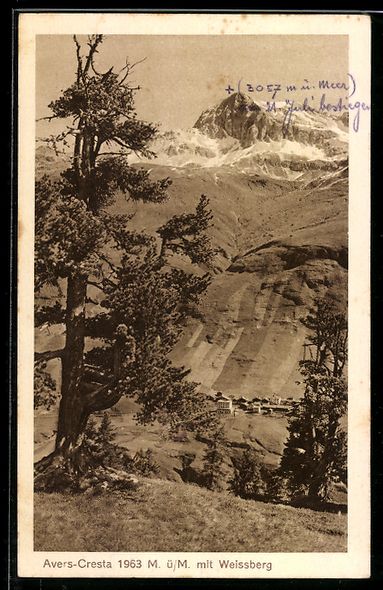 Cartoline postali: AK Avers-Cresta, Mit Weissberg – Usato da Berlin venduto da bartko-reher
