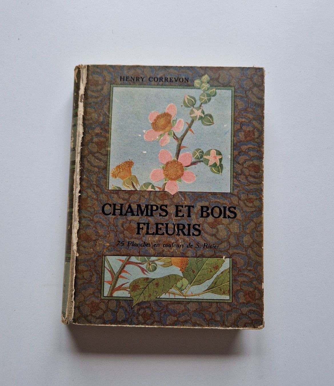 Libri: 1922 - Champs et bois fleuris – Usato da Fortunau (Ayent) venduto da le.baron