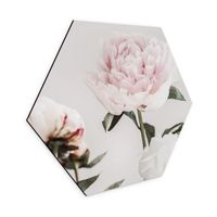 Hexagon - Alu-Dibond 25x22cm (neu, UVP 34.90 Fr.)