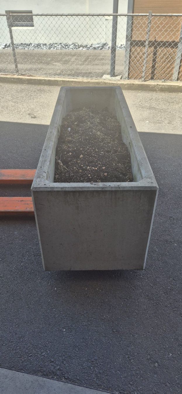 Vasi per fiori: Grosser Pflanzen-Betontrog – Usato da Buchs AG venduto da dcbu