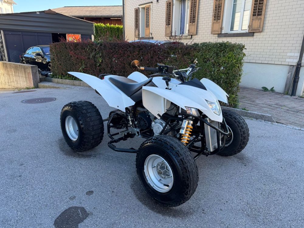 Quad Smc Ram 323 (Gebraucht) in Flawil für CHF 4100 – nur Abholung