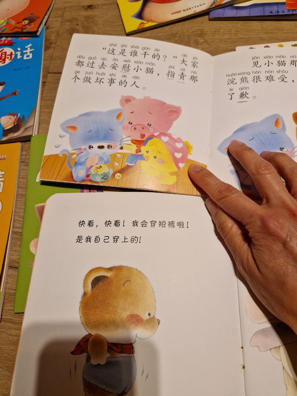 Libri: Chinesische Kinder Bücher 36 Stücke  – Usato da Wimmis venduto da traubenq 4