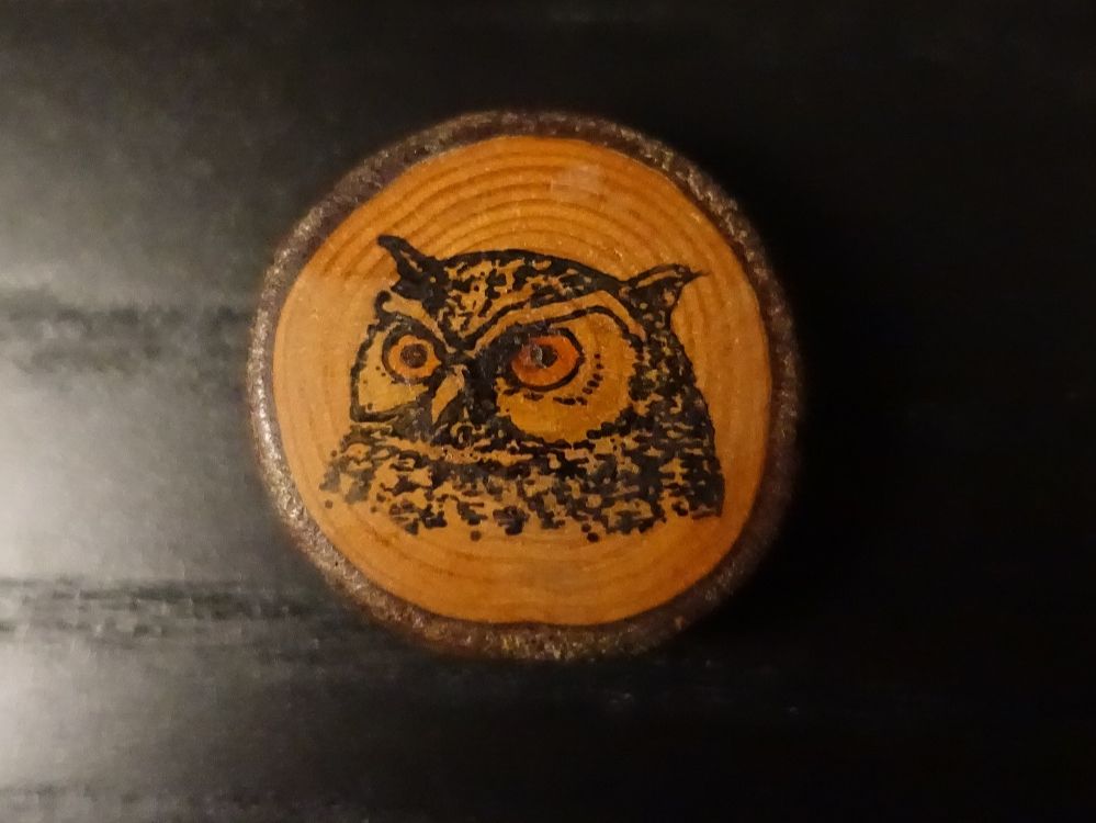 Magnete: Magnet mit Eule aus Holz – Gebraucht aus Russikon von Eulenfeder